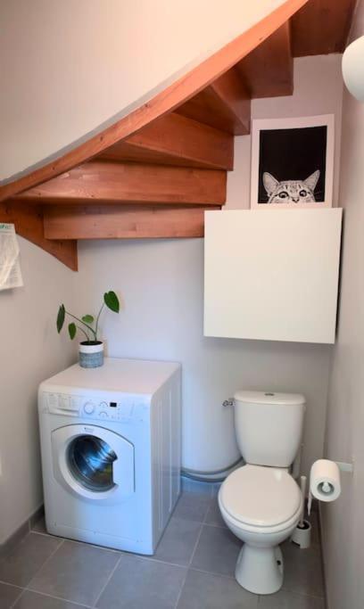 Maison Calme Avec Jardin Proche De Toulouse Extérieur photo