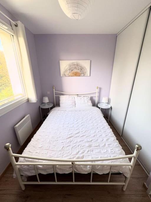 Maison Calme Avec Jardin Proche De Toulouse Extérieur photo